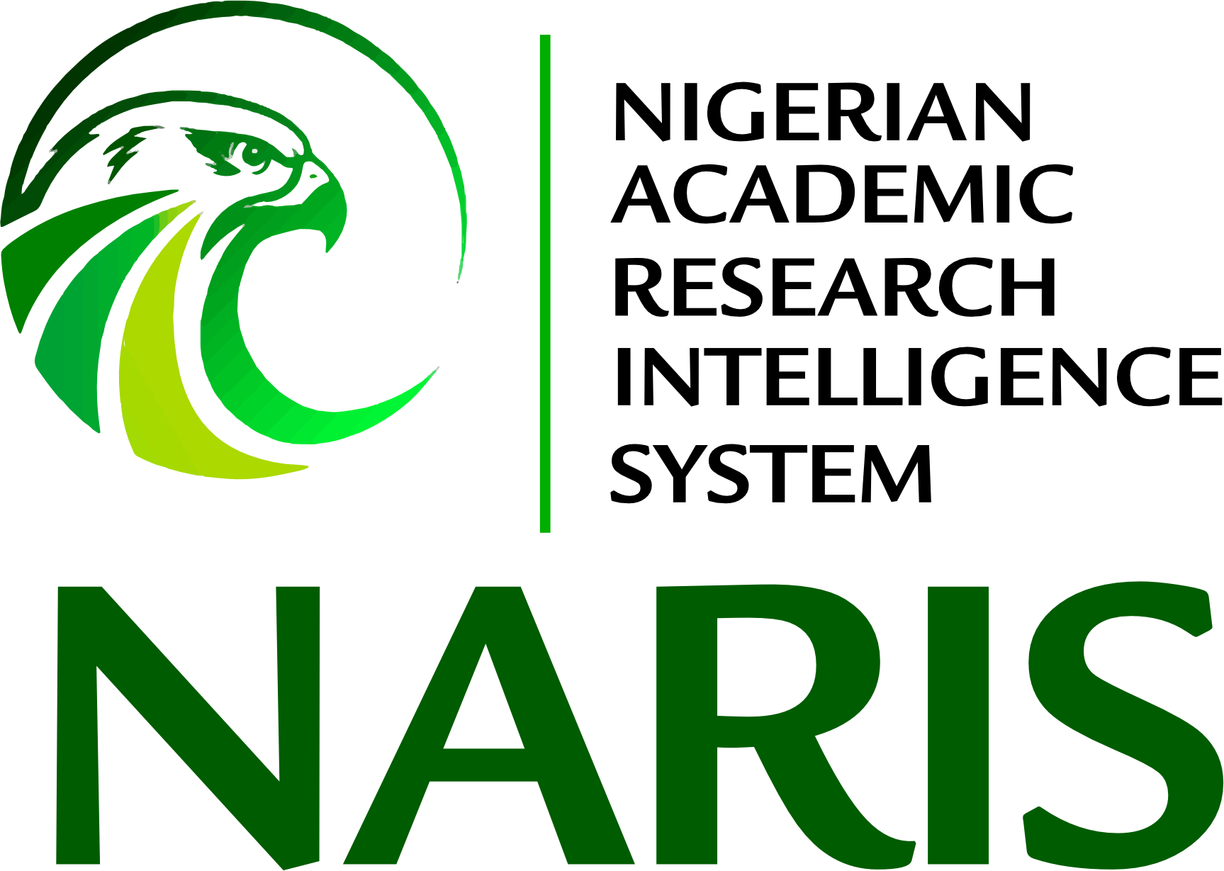 NARIS (Nigeria Academic Research Intelligence System) - A visual representation